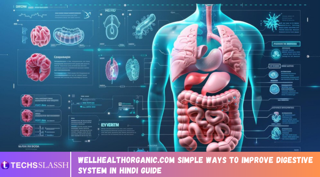 Wellhealthorganic.com Simple Ways To Improve Digestive System In Hindi Guide