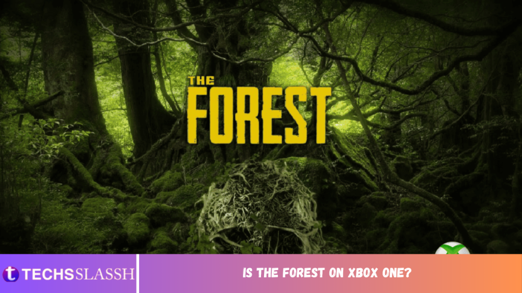 Forest